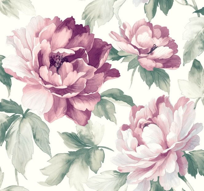 Carl Robinson Ida - Ivory & Magenta Wallpaper CB90019