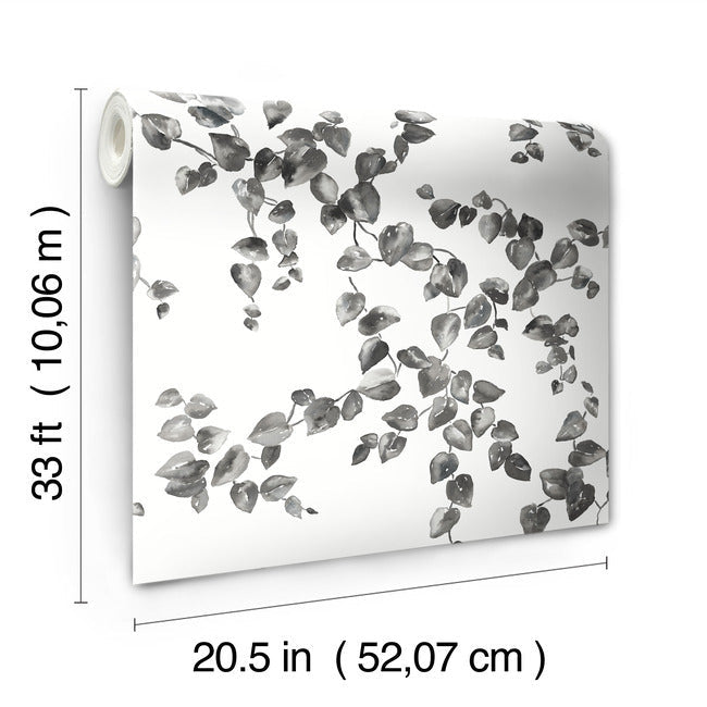 Creeping Fig Vine Wallpaper- Black/White FH4038