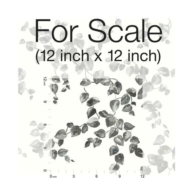 Creeping Fig Vine Wallpaper- Black/White FH4038