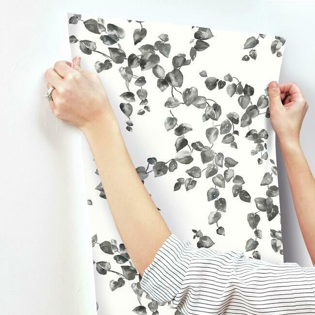 Creeping Fig Vine Wallpaper- Black/White FH4038