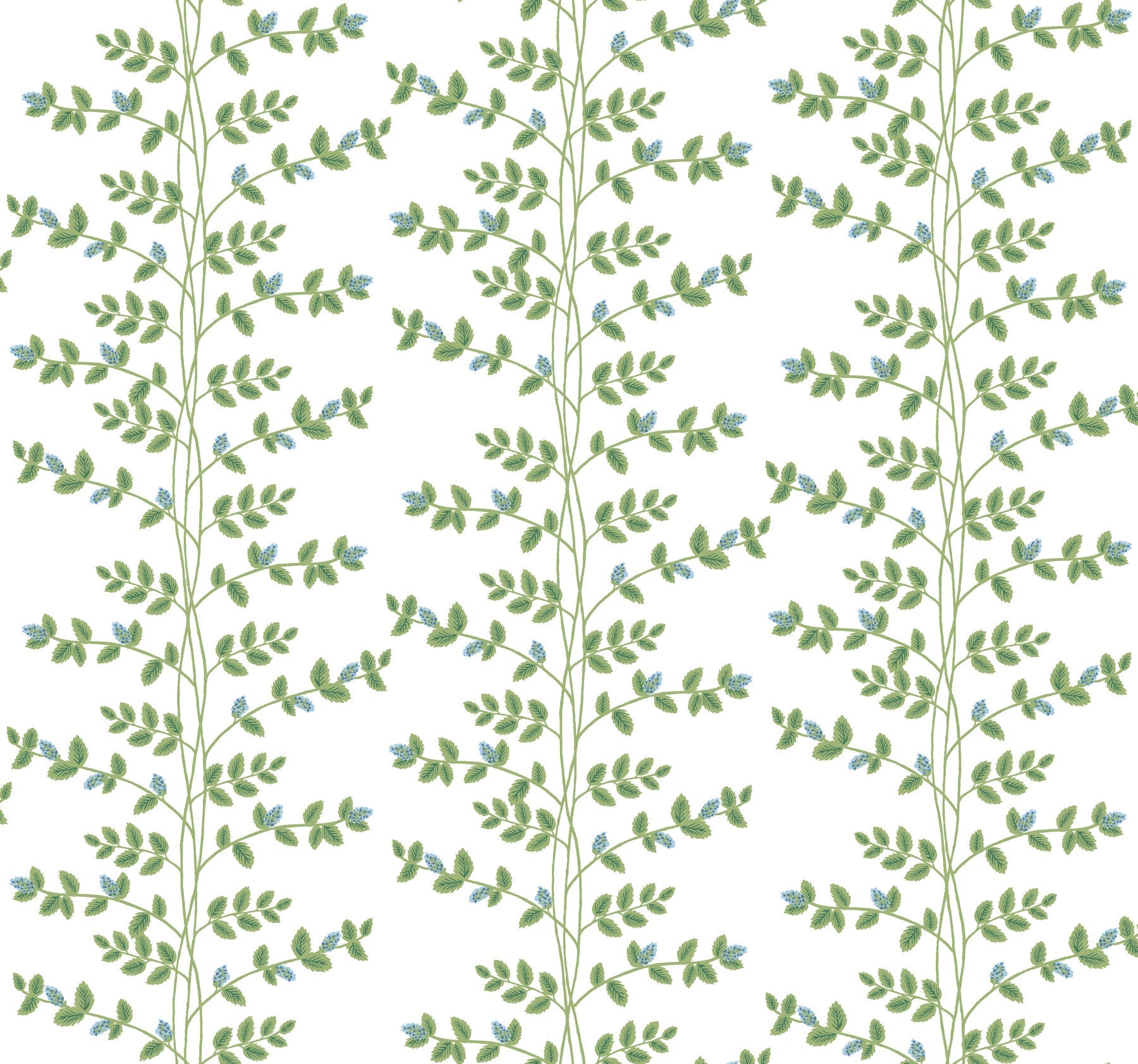 Rifle Paper Co Climbing Vine Wallpaper- White & Blue RF7425