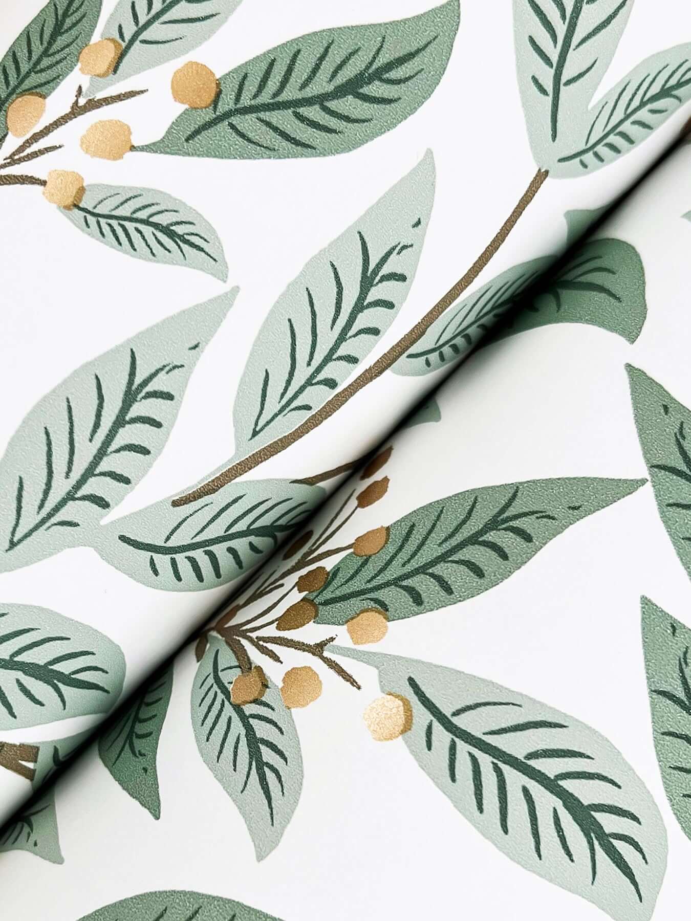 Rifle Paper Co Willowberry Wallpaper- Sage & White RF7465