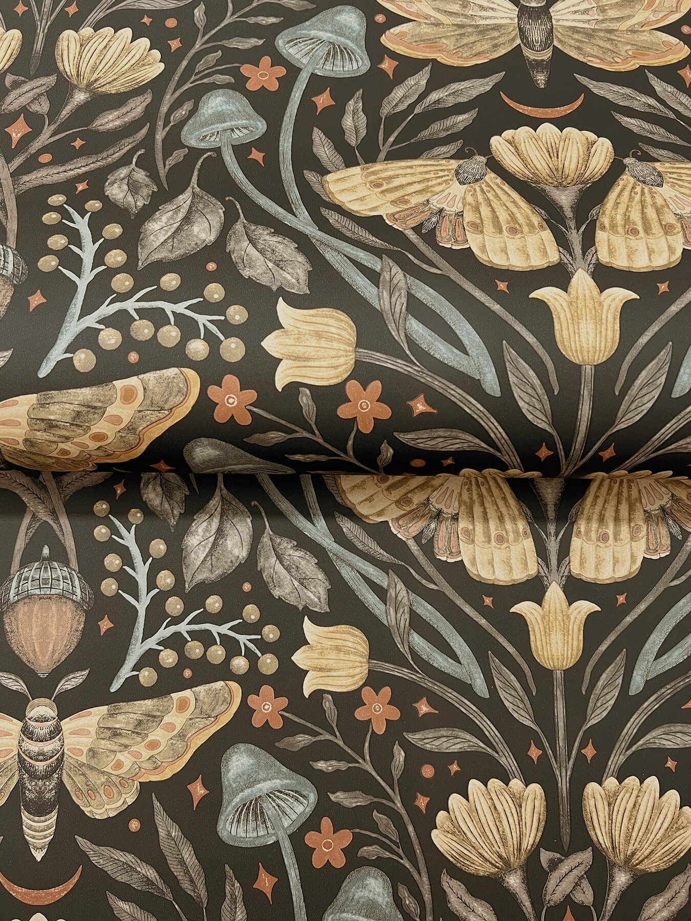 Mystic Moth Black Forest Magic Wallpaper YK83116/4169-83116
