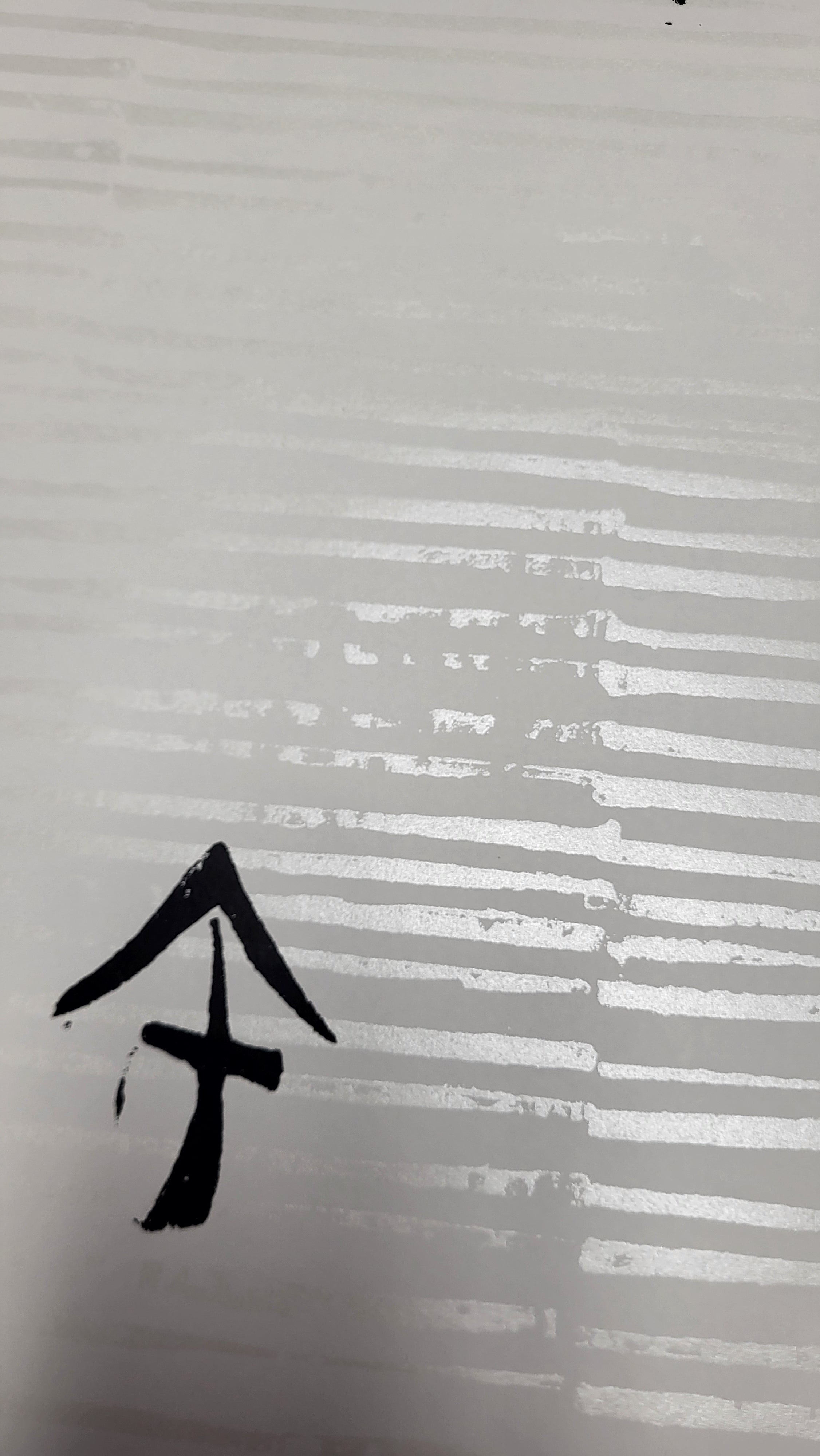 Hanzi Character Wallpaper – Black & White Asian Letter Design TT-597