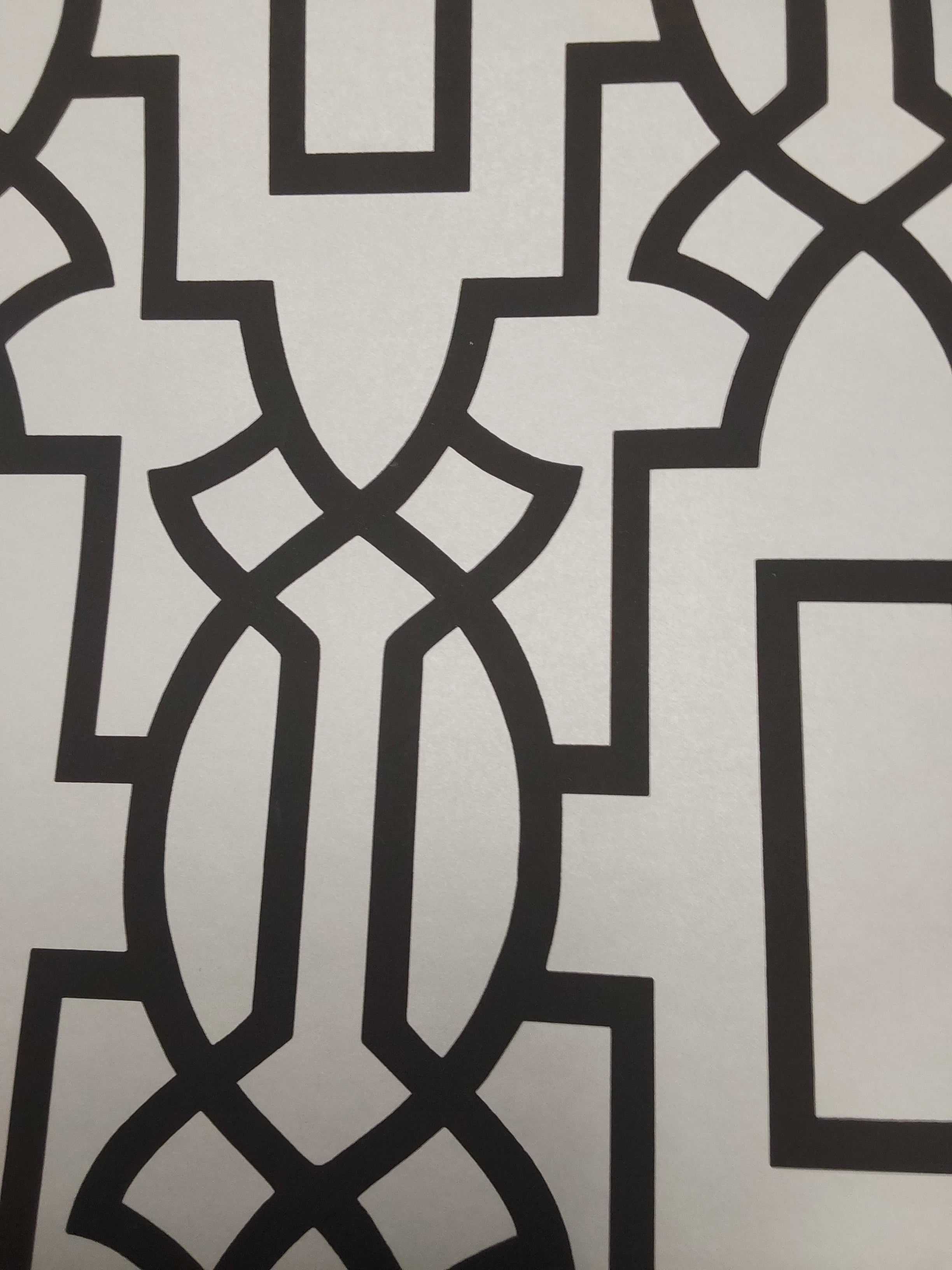 Hourglass Trellis Black and White Wallpaper BL40900