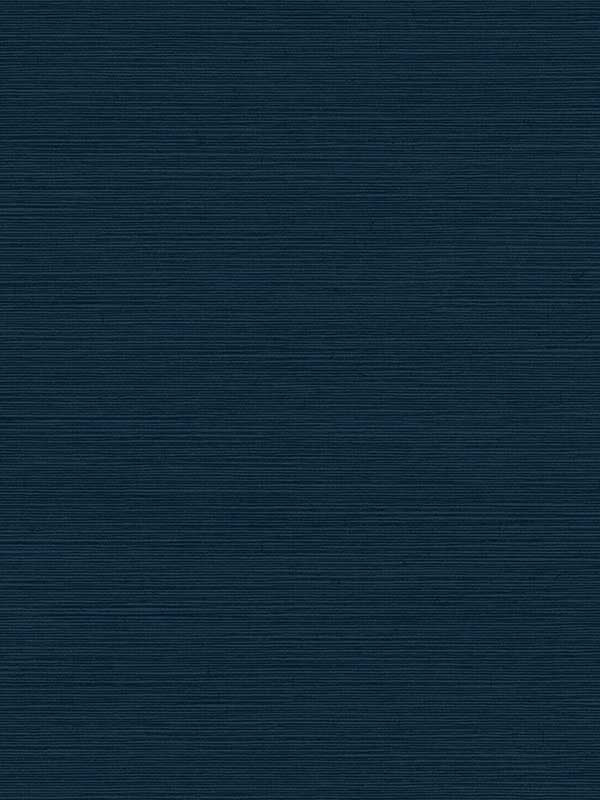 Shining Sisal Navy Wallpaper Faux Grasscloth Y6200907