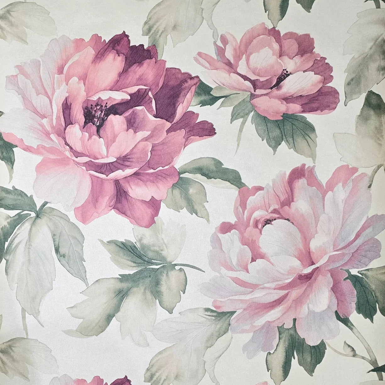 CB90019 Floral off white green pink large peony flowers focal botanical blooms Wallpaper