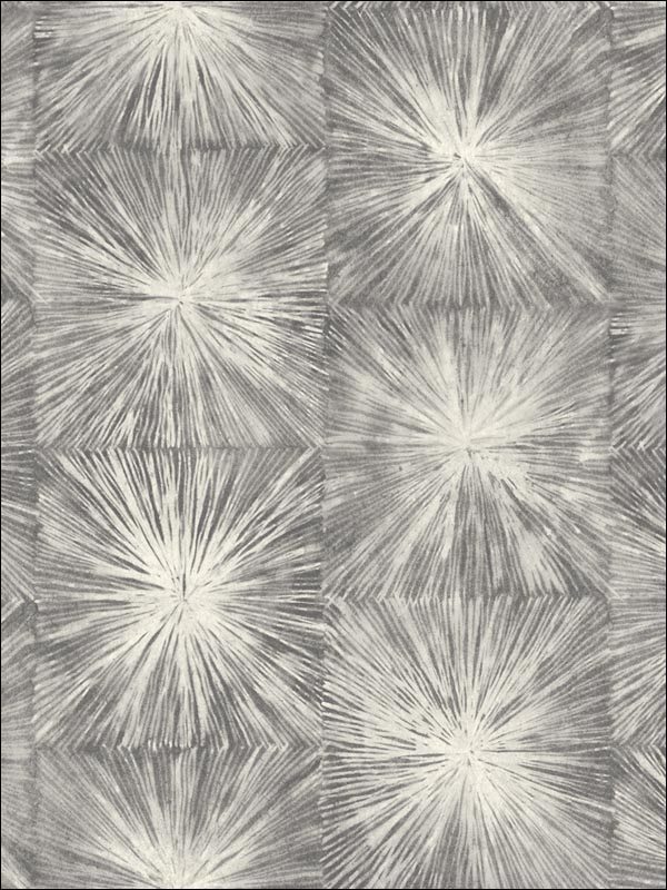 Carl Robinson Iverness Wallpaper CB91501