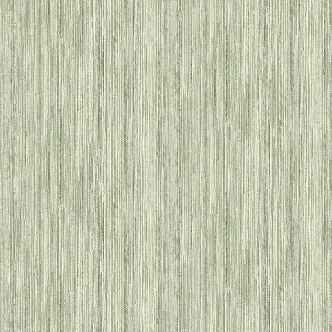 2971-86344 Justina Green Faux Grasscloth
