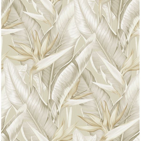 Arcadia Beige Banana Leaf Wallpaper PS40205