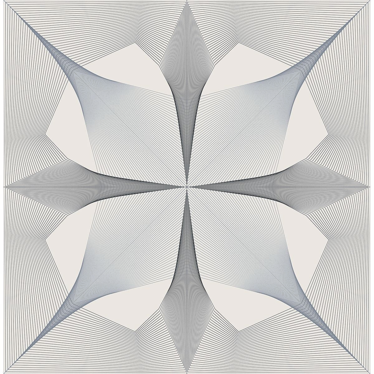 Radius Black Geometric Wallpaper FD25524/ 2902-25524