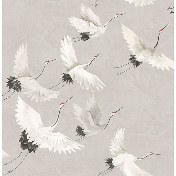 Windsong Grey Bird Wallpaper FD24304/2904-24304