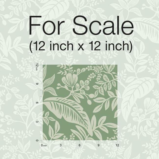 Rifle Paper Co Canopy Wallpaper- Sage RI5140