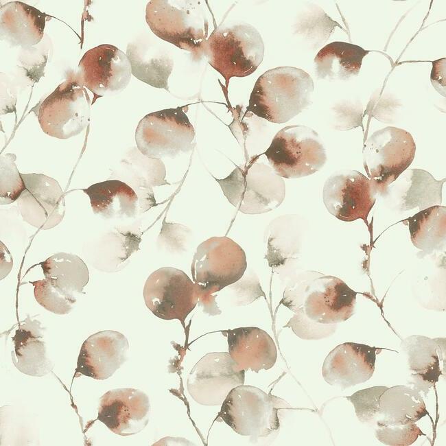 York Eucalyptus Trail Wallpaper- Canyon OG0591