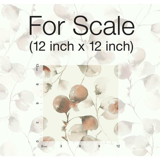 York Eucalyptus Trail Wallpaper- Canyon OG0591