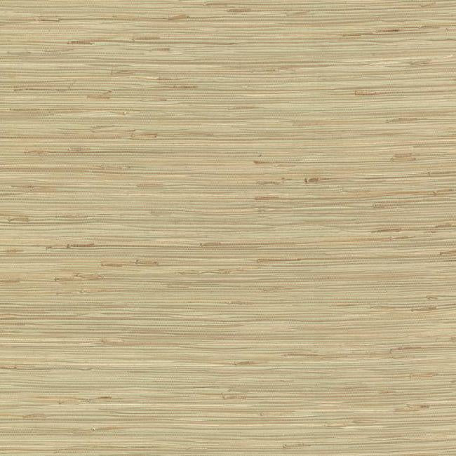 River Grass Wallpaper- Spa Green/Beige NZ0780
