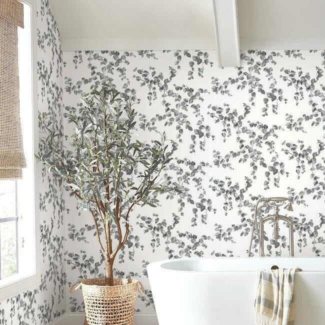 Creeping Fig Vine Wallpaper- Black/White FH4038