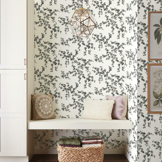 Creeping Fig Vine Wallpaper- Black/White FH4038