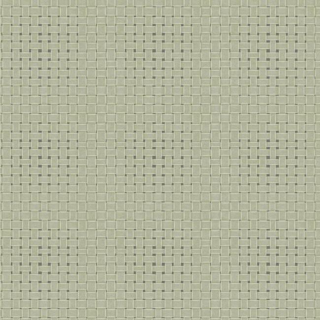 York Paradise Island Weave Green Wallpaper TC2613