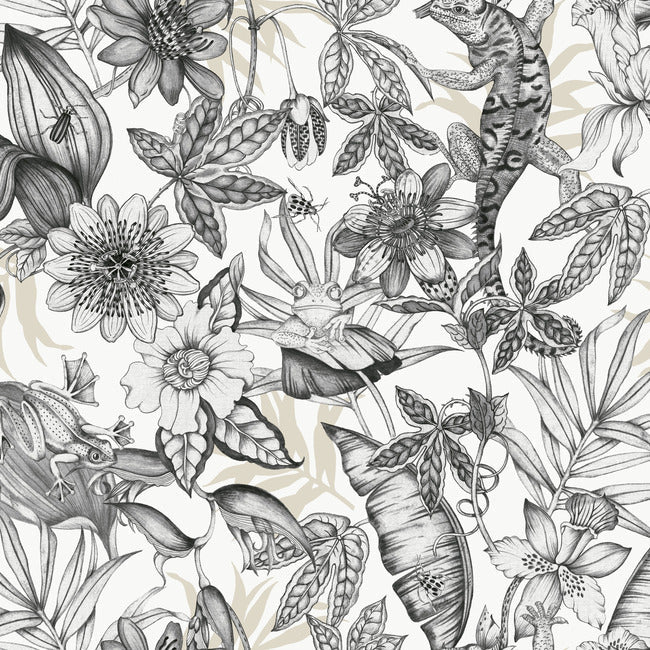 Rainforest Wallpaper- White/Charcoal BL1703