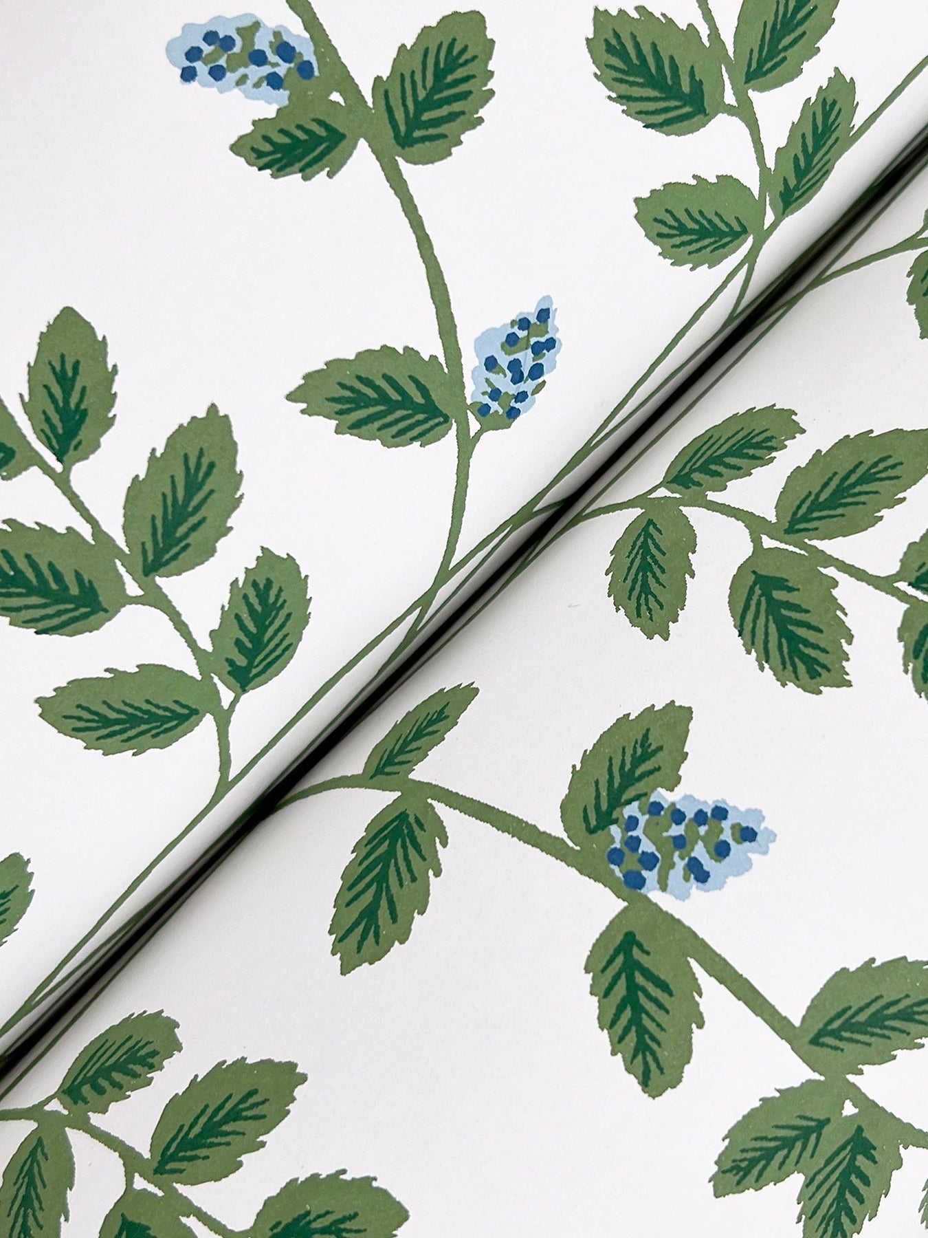 Rifle Paper Co Climbing Vine Wallpaper- White & Blue RF7425