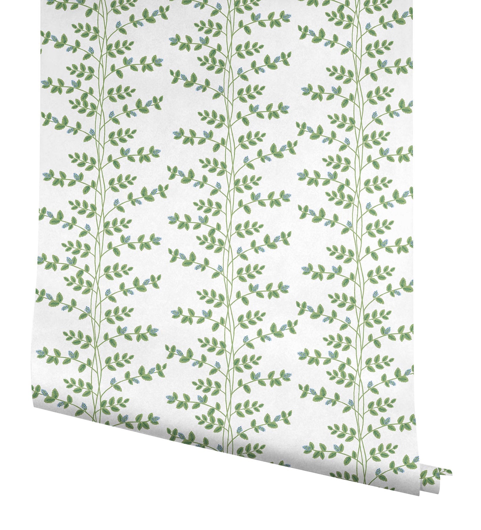 Rifle Paper Co Climbing Vine Wallpaper- White & Blue RF7425