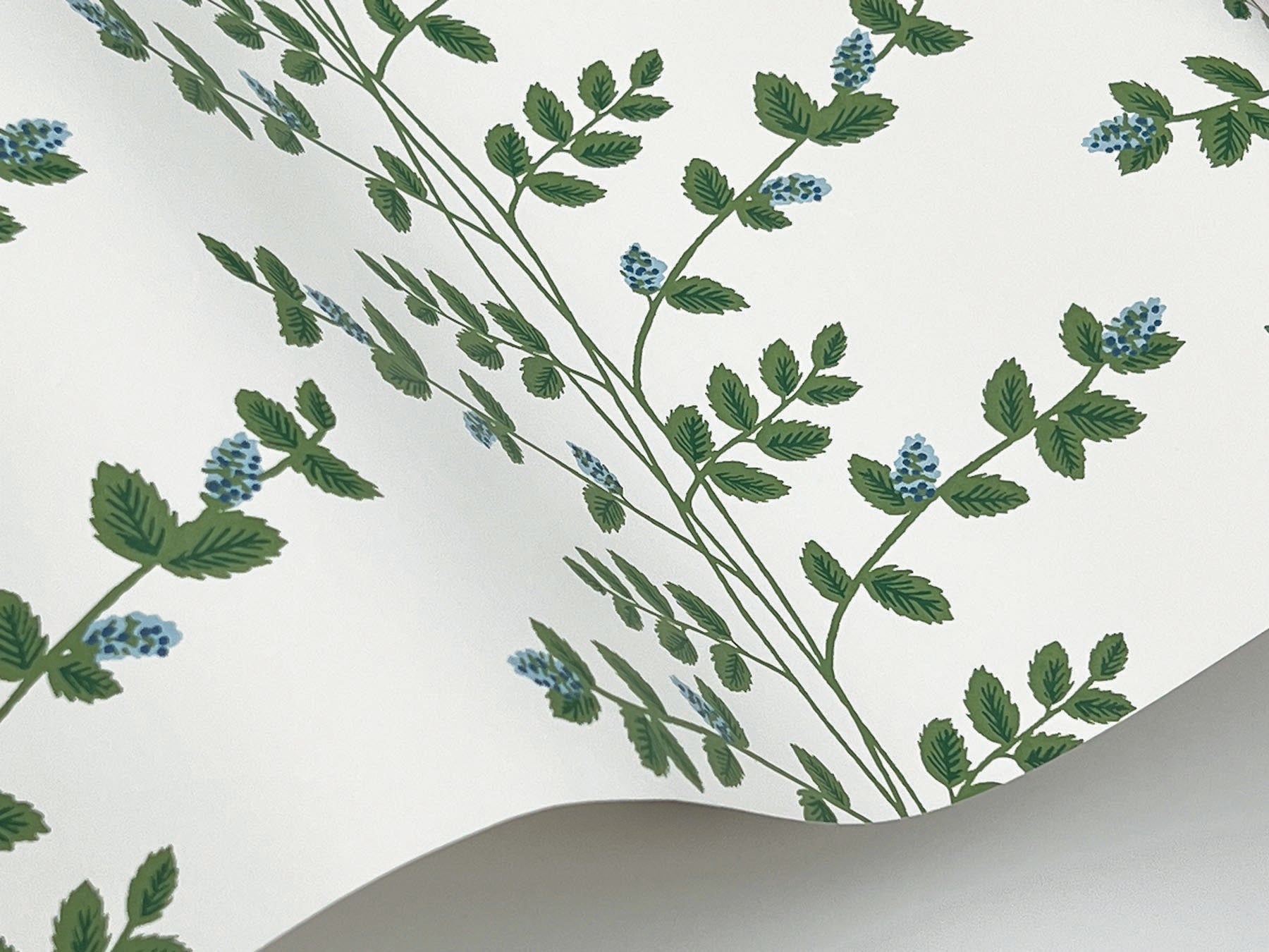 Rifle Paper Co Climbing Vine Wallpaper- White & Blue RF7425
