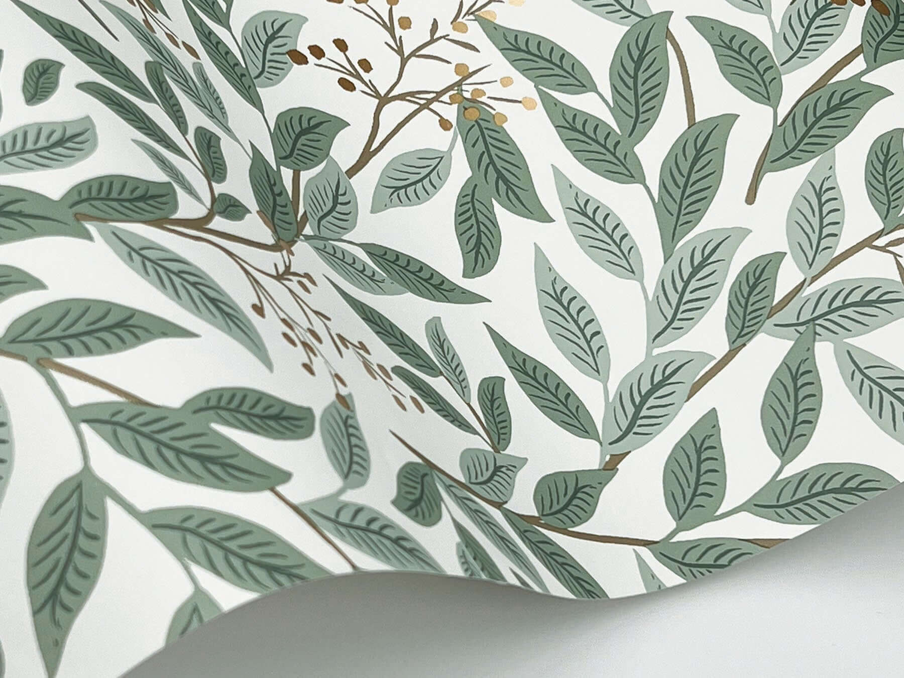 Rifle Paper Co Willowberry Wallpaper- Sage & White RF7465