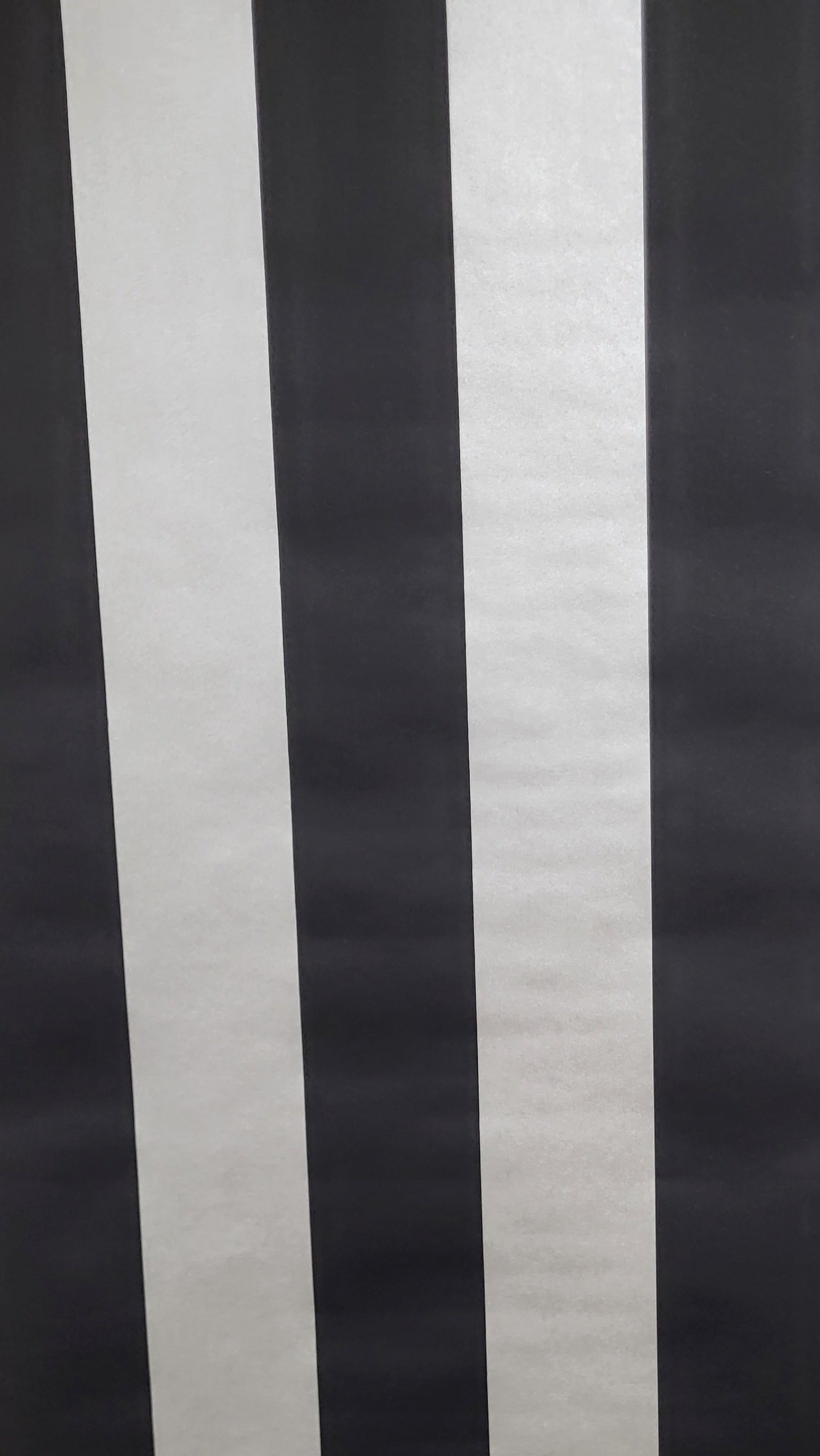 Interior Images Silver and Black Metallic Stripes ELI 122