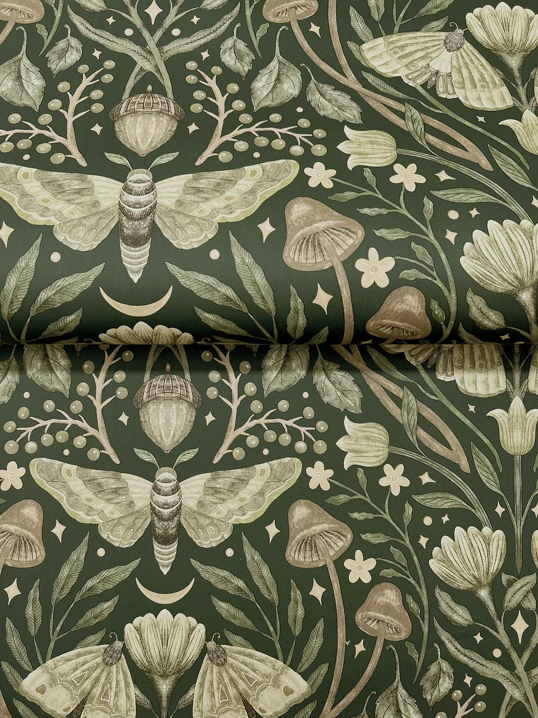 Chesapeake Mystic Moth Forest Magic Wallpaper 4169-83120