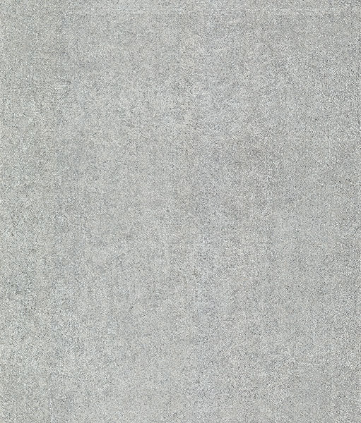 WL86483 Lustre