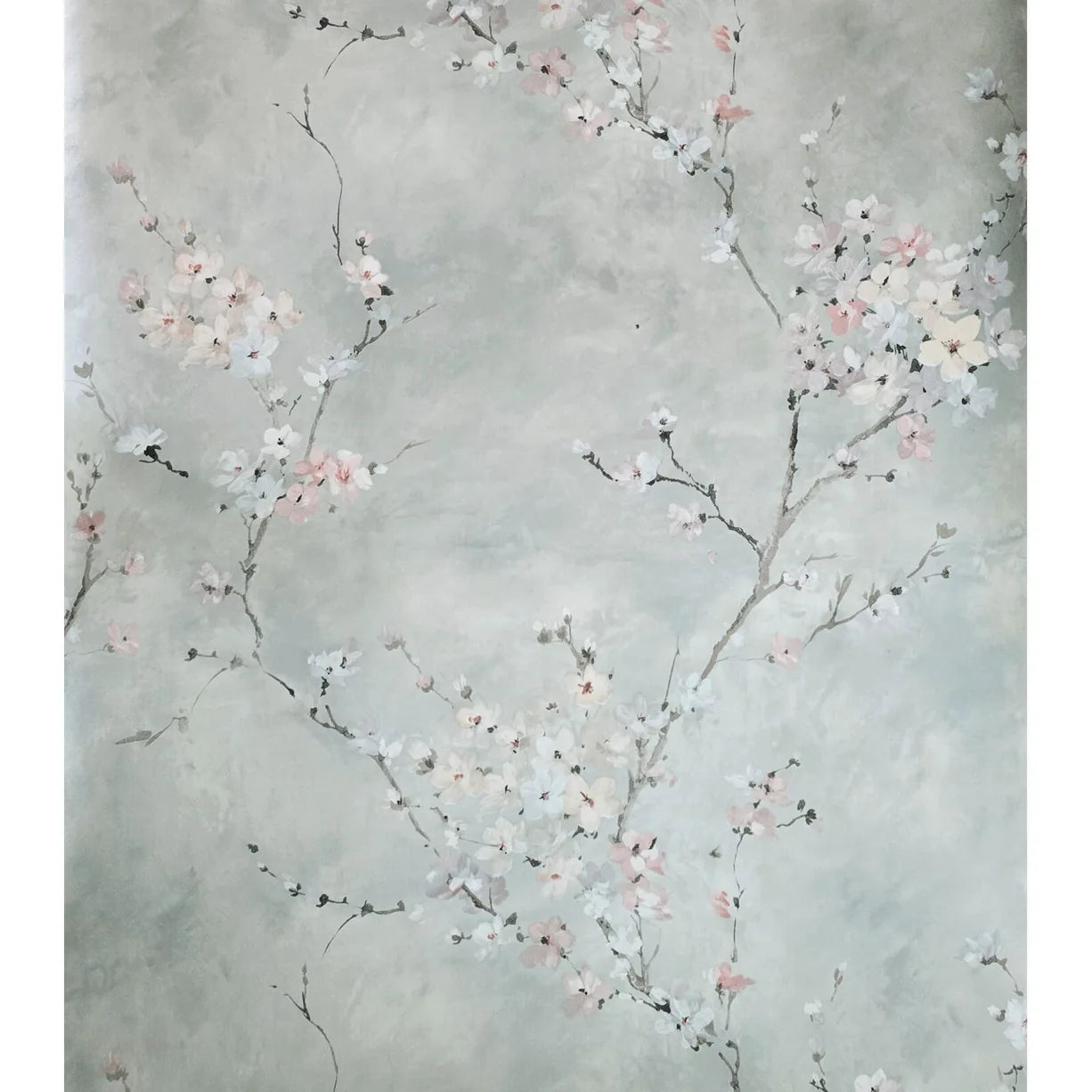 CB90208 Gray silver watercolor white pink cherry blossom branches Chinoiserie wallpaper