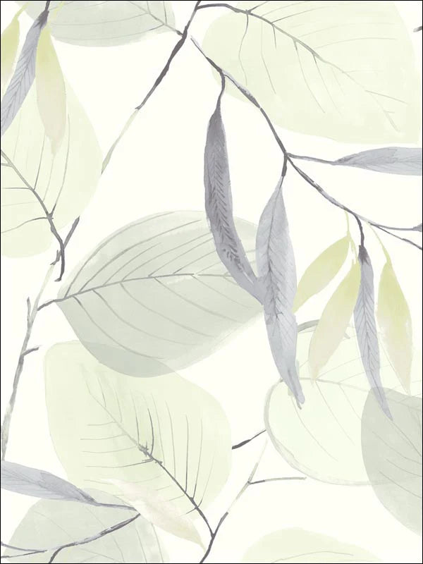 Carl Robinson Wallpaper  CB91404 Ivory Wallpaper
