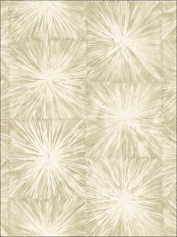 Carl Robinson Wallpaper  CB91517 Iverness Wallpaper