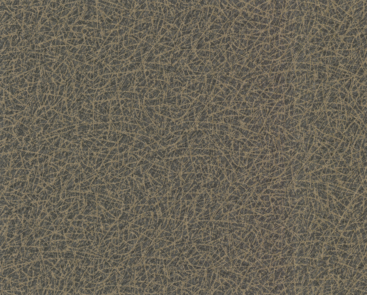 CL1894