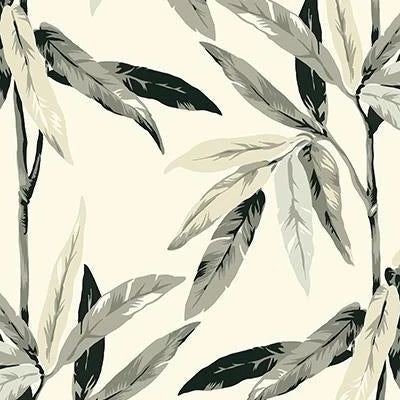 CR21808 | Janson, Black Bamboo - Carl Robinson 10-Island Wallpaper