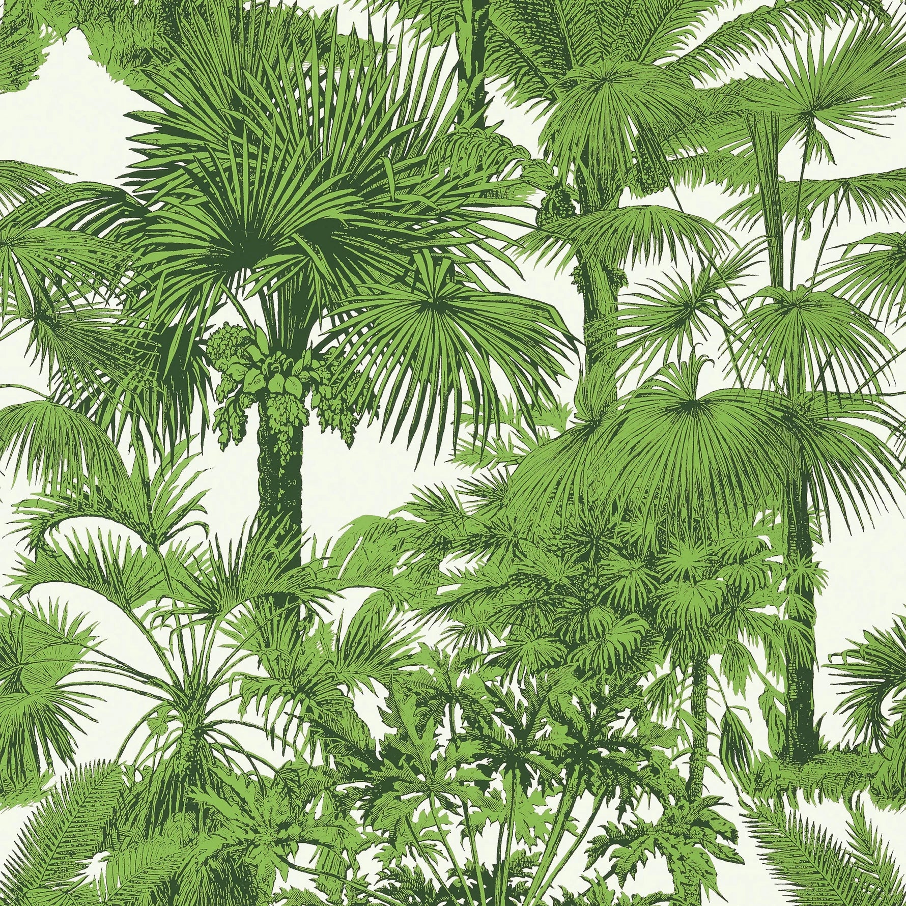 Thibaut Palm Botanical Emerald Green Wallpaper T10103/839T10103