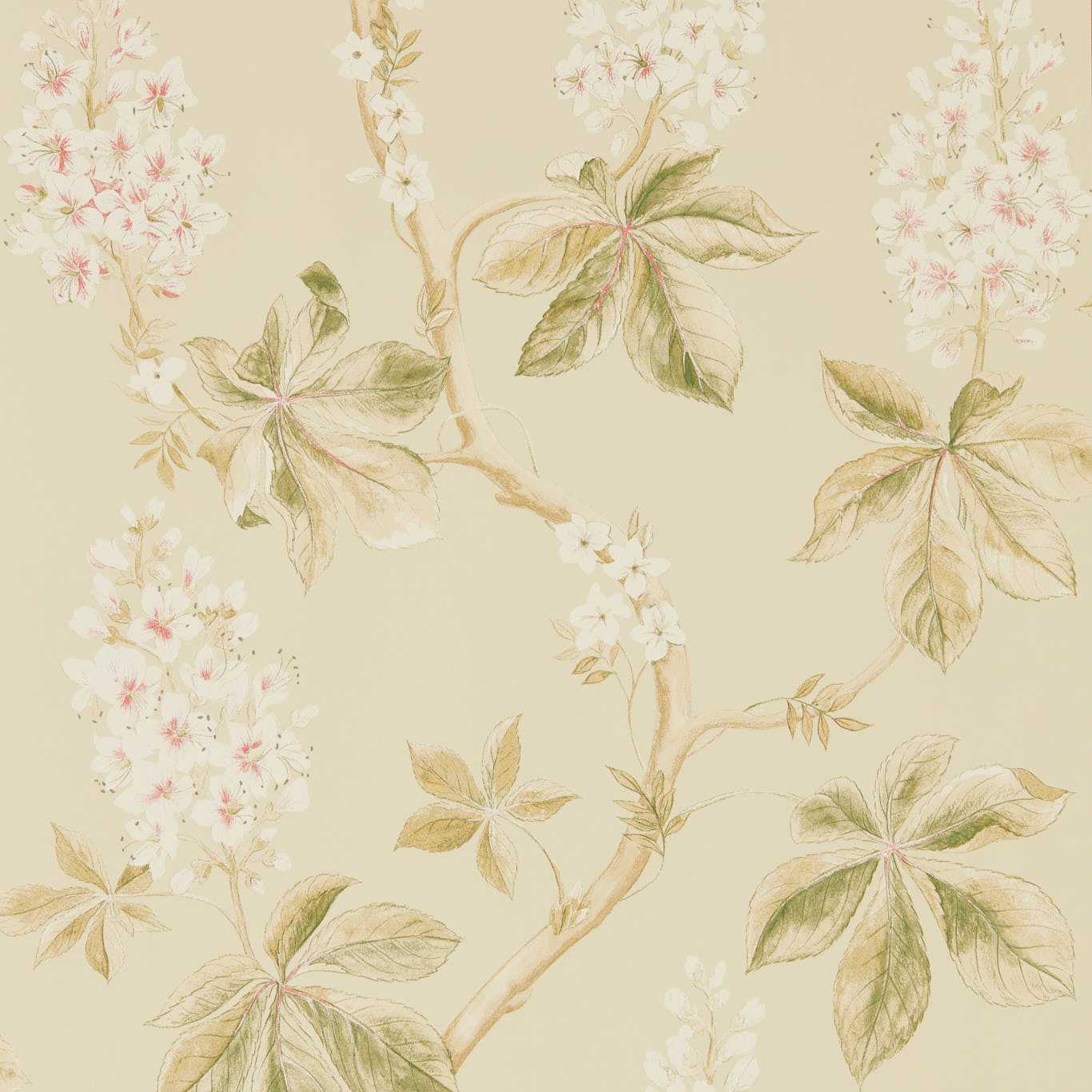 215709 Sanderson Woodland Walk Collection