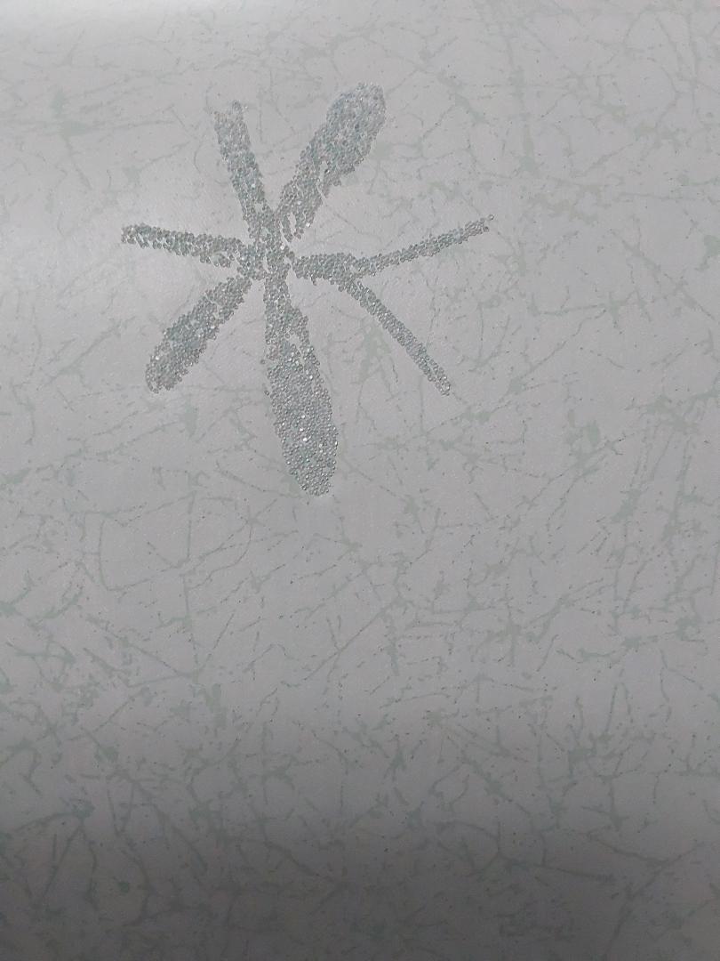 Antonina Vella Wallpaper Seafoam Green With Raised  Sand Dragonfly VV5944
