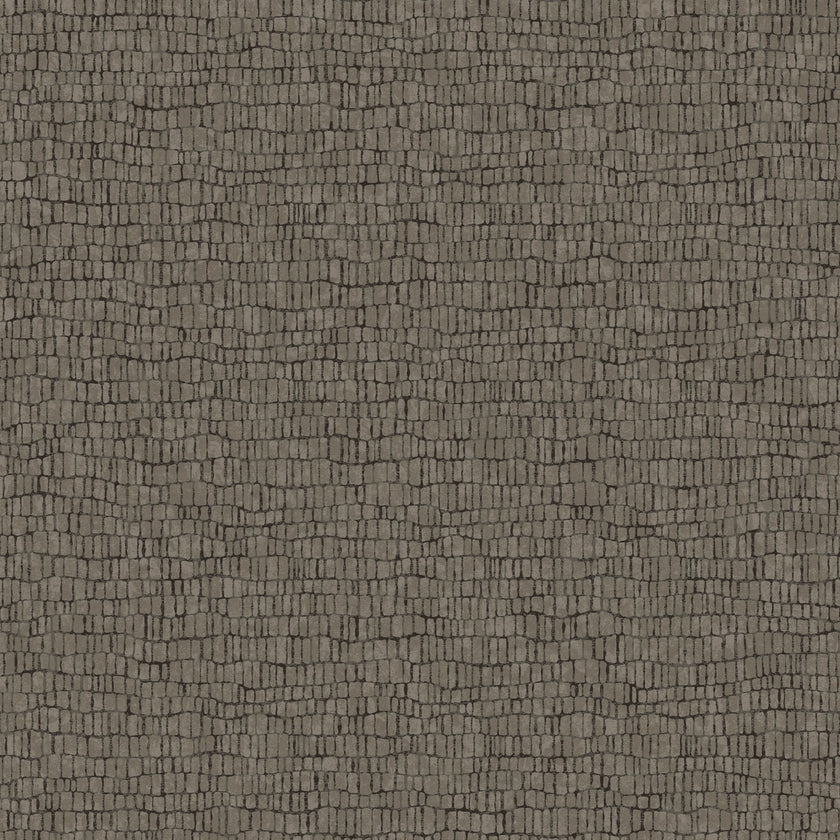 Reptile Wallpaper Y6230405